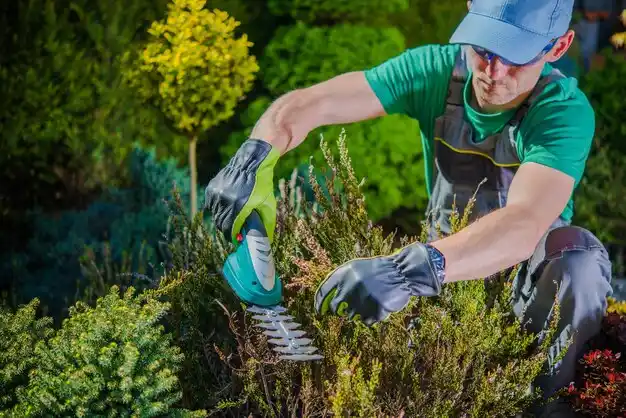 landscaping services Durant